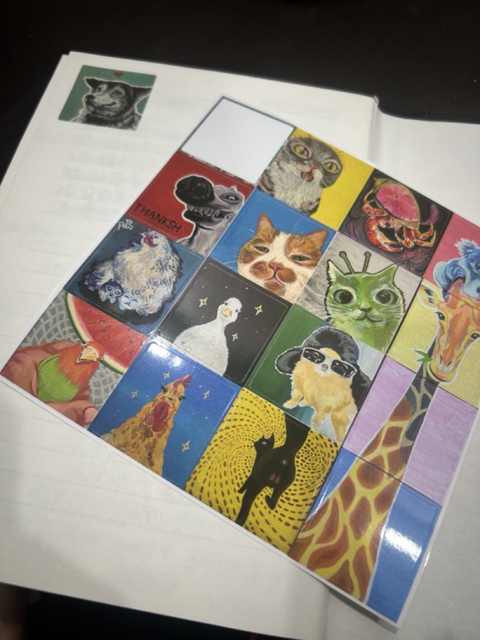 Animal sequence